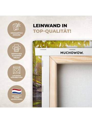 MuchoWow Leinwand bilder Sonniger Wasserfall (BxH)