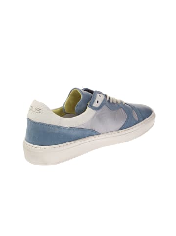 MJUS Sneaker low 379101-202-0001 in Blau