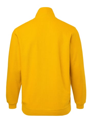 Boston Park Sweatshirt in curry