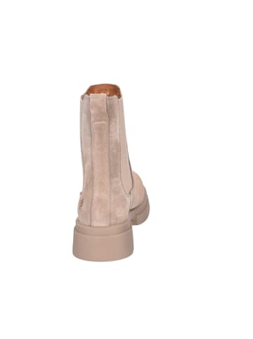 Apple of Eden Stiefeletten  Bis in beige