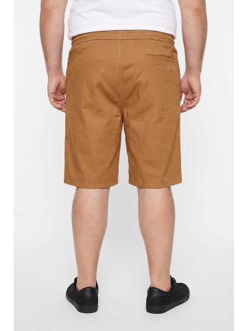 Men Plus Bermuda in camel