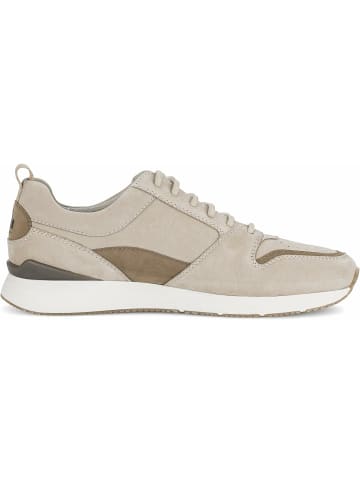 Pius Gabor Sneaker für Herren in braun