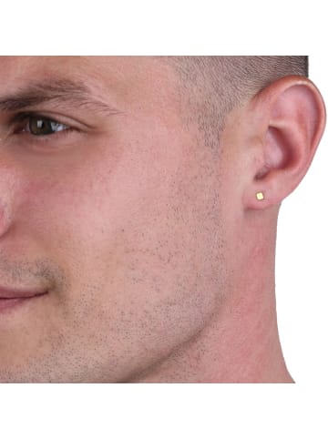 Amor Ohrstecker Gold 375/9 ct in Gold