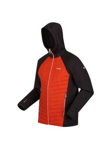 Regatta Softshelljacke Hybrid Andreson VII in Orange
