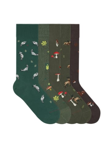 von Jungfeld Motivsocken Seasonal Icon Bundle in Racoon/Pond/Mushroom/Moose/Forest