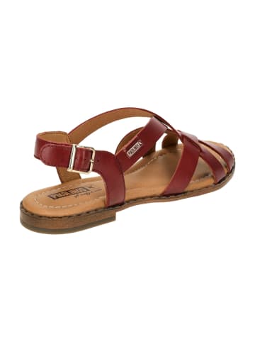 Pikolinos Sandalen in Rot