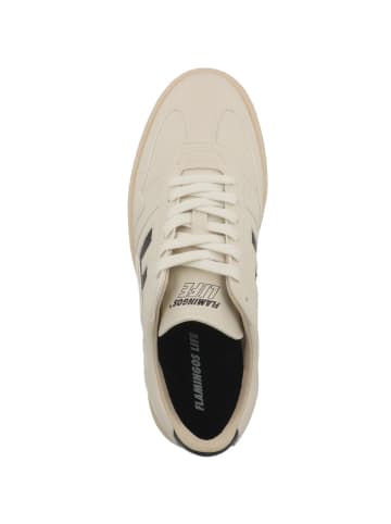 Flamingos Life Sneaker low Burela Bold in creme
