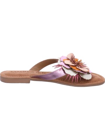 Lazamani Pantolette  in Rosa