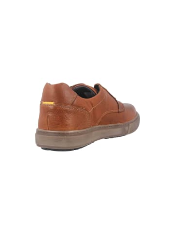 Camel Active Halbschuhe in Braun