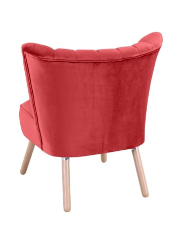 58 aufm Kessel SESSEL Kadisha Bezug Samtvelours Buche natur / rot