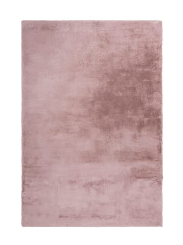 Teppich Boss Hochflor Teppich Eleni 525 Creme - Creme