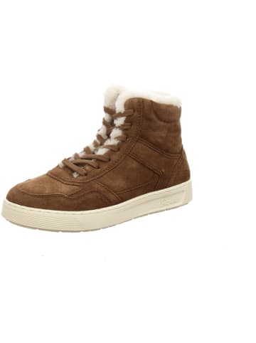 Sneaker Low in braun