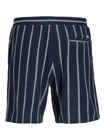 Jack & Jones Shorts in Sky Captain