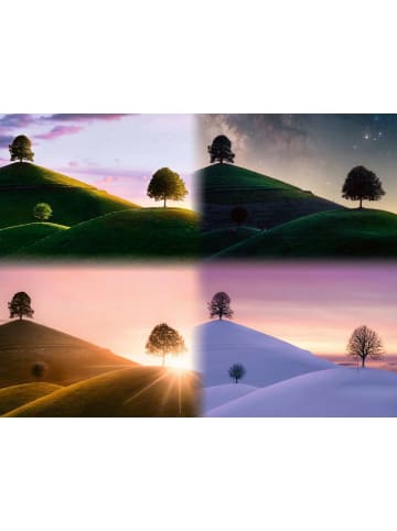 Ravensburger Ravensburger Puzzle 2.000 Teile Stimmungsvolle Bäume und Berge in bunt