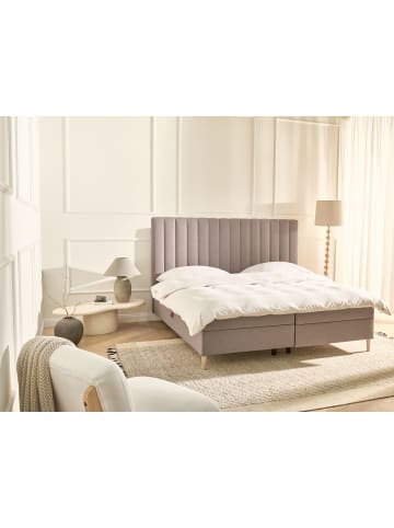 Beliani 5-tlg Boxspring Bett OFFICER in Beige/Braun
