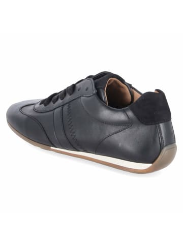 Gabor Schnürhalbschuh in schwarz