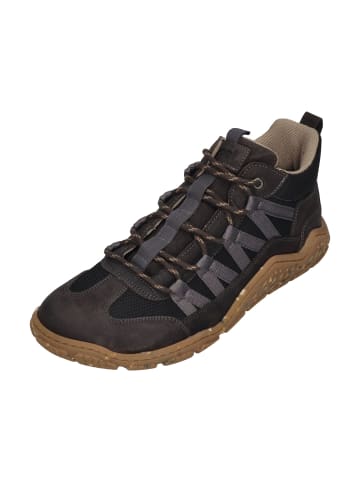 KOEL Sneaker Low Raxo in grau