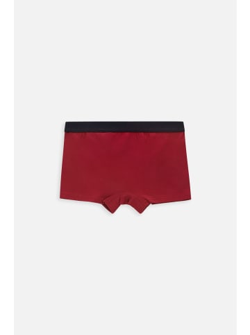 Coccodrillo Unterhose in bunt