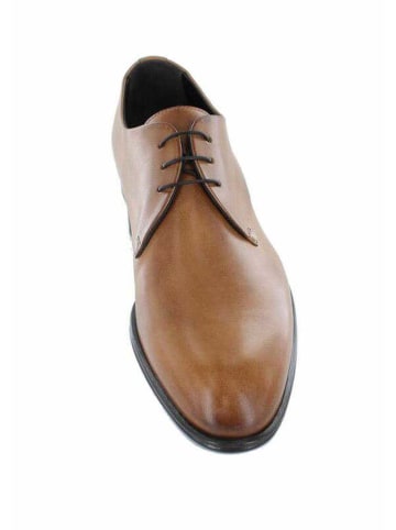 Corvari Eleganter Schnürschuh in braun