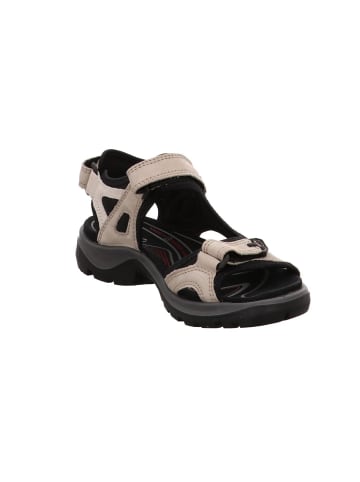 Ecco Outdoorsandalen Offroad in atmosphere/ice