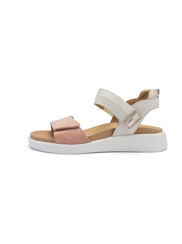 ara Sandalen in Beige