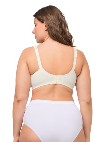 Ulla Popken BH in champagner