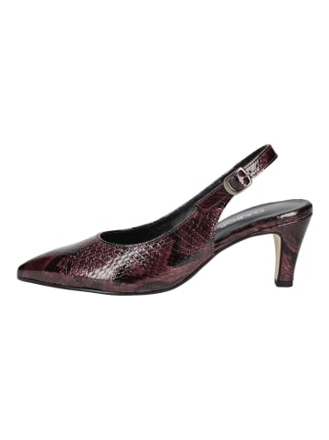 Gabor Pumps Bordeaux Lack