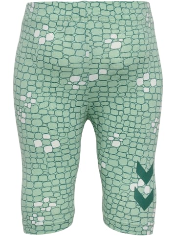 Hummel Hummel 3/4 Leggings Hmlzanzi Lebensstil Mädchen in SILT GREEN