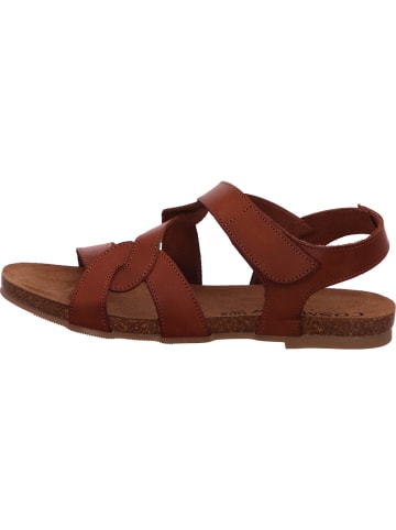 Cosmos Comfort Sandalette in braun