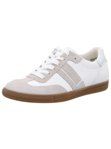 Paul Green Schnürschuhe in pearl/white