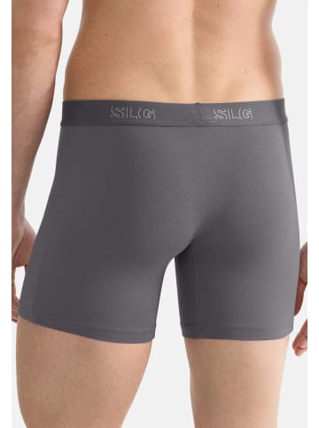 Sloggi Long Short / Pant SLG Base in Shiver