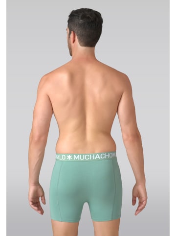 Muchachomalo 10er-Set: Boxershort in Mehrfarbig - für Herren