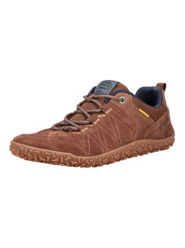 Camel Active Halbschuhe in Braun/Blau