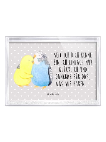 Mr. & Mrs. Panda Schüttelrahmen Wellensittich Liebe mit Spruch in Grau Pastell