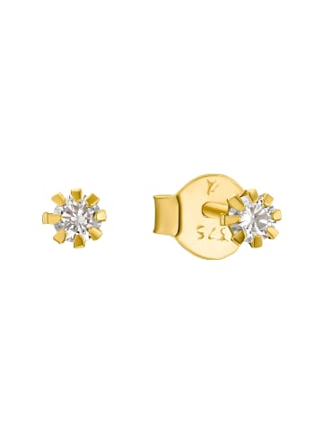 Amor Ohrstecker Gold 375/9 ct in Gold