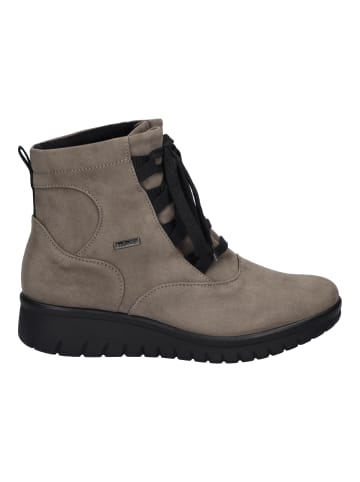 WESTLAND Stiefelette Calais in taupe