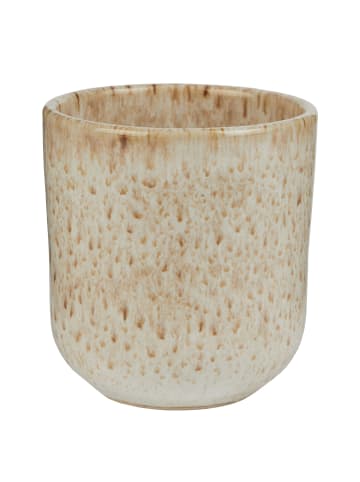 Butlers Tasse BOM DIA 6er-Set in Beige