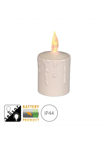 STAR Trading LED Kerze Paula, weiß, 6x11,5cm in Braun