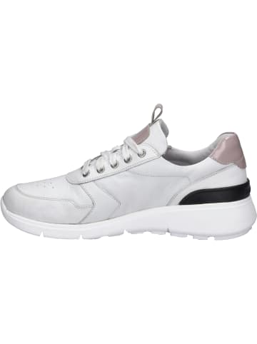 Josef Seibel Sneaker Giulietta 03 in weiss-rosa