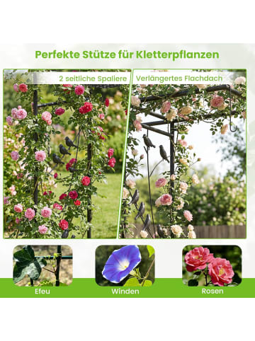 COSTWAY Rosenbogen mit Vogelfutterstation 213 cm in Schwarz