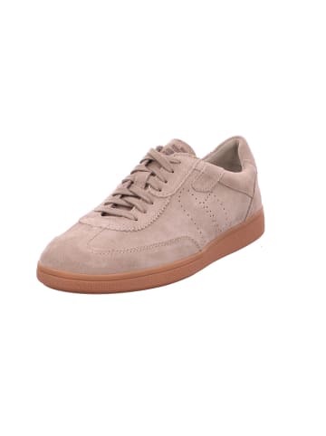Gabor Sneaker in beige