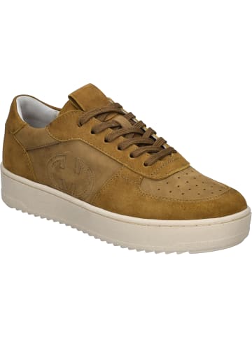 Gerry Weber Sneaker Emilia 22 in camel