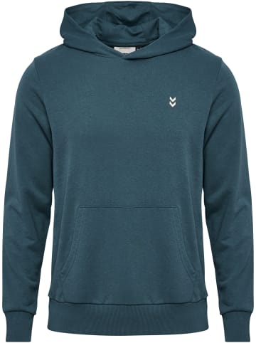 Hummel Hummel Kapuzenpullover Hmlpulse Herren in STARGAZER