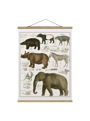 WALLART Stoffbild - Vintage Lehrtafel Elefant, Zebra und Nashorn in Braun