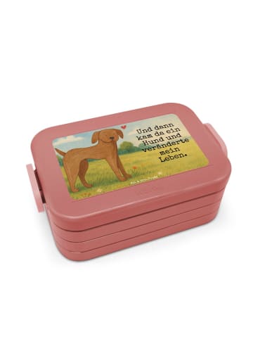 Mr. & Mrs. Panda Lunchbox Hund Dogge Design mit Spruch in Rot Pastell