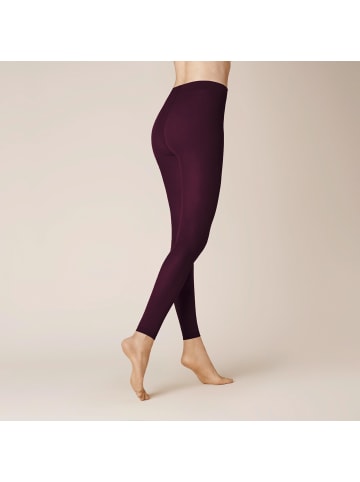 Kunert Feinstrumpfleggings Velvet 40 matt in dark raisin