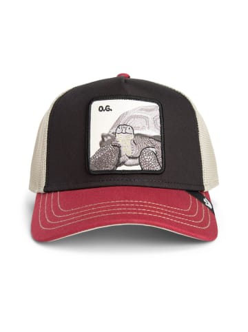 Goorin Bros. Cap in Tricolor Tortiouse