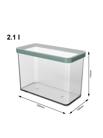 Rotho Vorratsdose 2.1 l LOFT in Transparent / Mistletoe grün