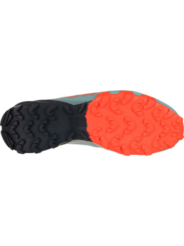 DYNAFIT W TRAVERSE in Blau