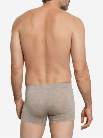 Hanro Retro Pants Casuals Daywear in hazelnut melange